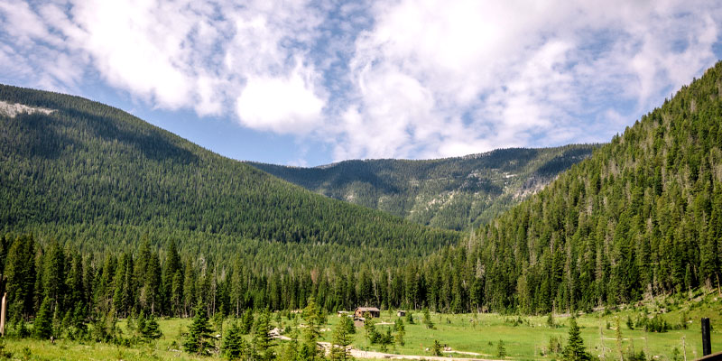 creekside2 web