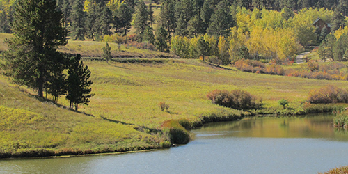 Hanson Creek Dam