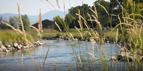 Carroll Trail Fishing Access